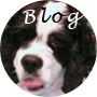 犬ブログ